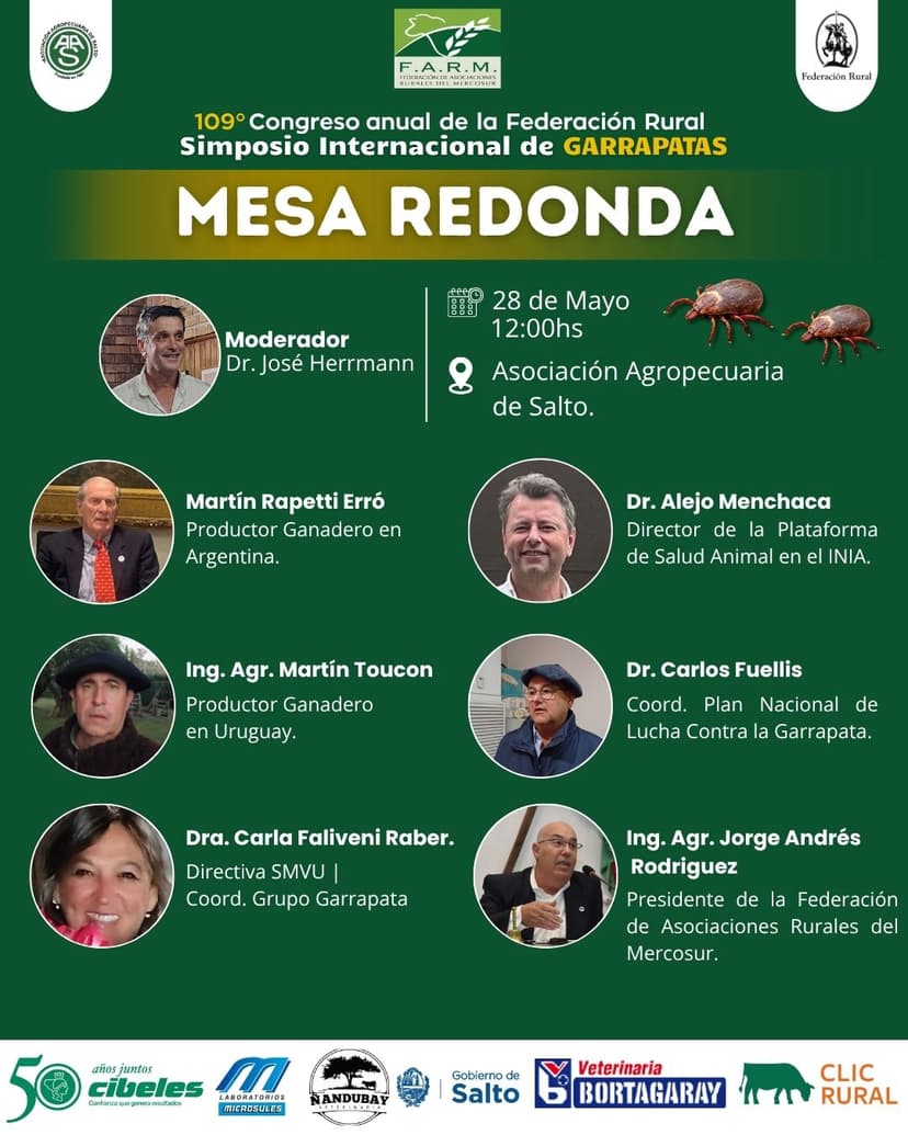 Mesa Redonda