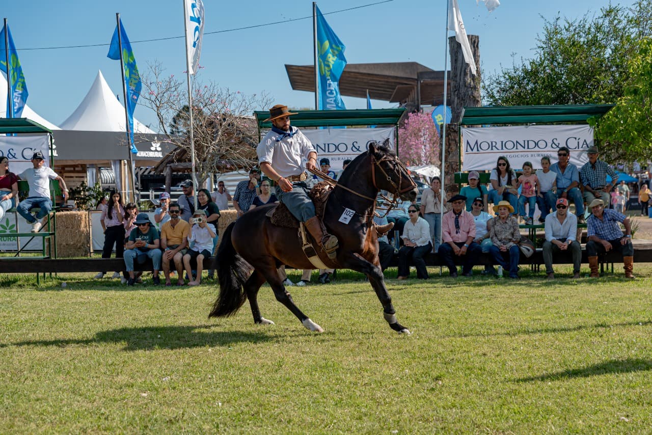 Expo Salto 2025 - Foto 4